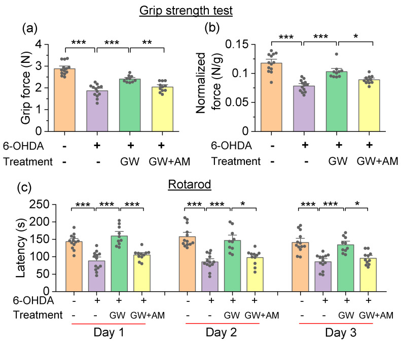 GW842166x (GW) treatment attenuated 6-OHDA-induced motor deficits in the grip strength test and rotarod test. (a,b) In the grip strength test, 6-OHDA injection decreased the absolute grip strength (grip force, *** p < 0.001, n = 13–13) and normalized grip strength (normalized force, *** p < 0.001, n = 13–13), both of which were ameliorated by GW treatment (*** p < 0.001, n = 10–13). Co-treatment with AM630 (AM) prevented the protective effects of GW (** p = 0.009, * p = 0.044, n = 10–11). (c) In the rotarod test, 6-OHDA injection significantly decreased the latency to fall (*** p < 0.001, n = 13–13), GW treatments significantly increased the latency to fall (*** p < 0.001, n = 10–13), and AM co-treatments prevented the effect of GW (* p < 0.05, *** p < 0.001, n = 10–11).