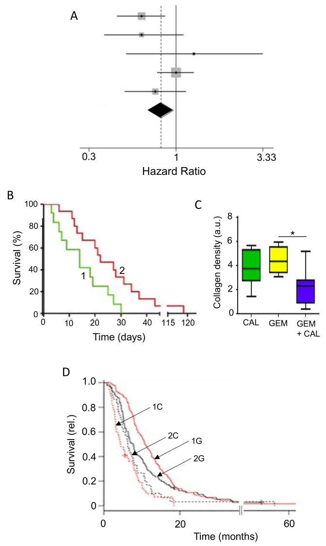 Effects of combining chemotherapy with a dietary compound: Vitamin D. (A) Meta-analysis of the association between plasma levels of 25-hydroxyvitamin D (25(OH)D) levels and pancreatic cancer mortality. Diamond indicates the average and the spread of the data, showing the beneficial effect of vitamin D. Modified from Zhang et al. [212], where further details and primary data can be found. (B) Kaplan–Meier survival analysis for KPC mice treated with gemcitabine (1) or gemcitabine + Calcipotriol (2). The effect of the combination was significantly greater than gemcitabine alone (p = 0.02) (*). Modified from Sherman et al. [218]. (C) Collagen density (arbitrary units). Effects of Calcipotriol (CAL), gemcitabine (GEM) and their combination (GEM + CAL), presented as non-parametric data. The combination was significantly more effective than gemcitabine alone (p < 0.05). Modified from Sherman et al. [218]. (D) Probability of survival of human pancreatic cancer patients with a mutated VDR/rs2853564 (curves indicated by 1), in comparison with wild type (curves indicated by 2). Each group was subject to treatment with gemcitabine (curves indicated by G). The effect of gemcitabine was significant only on the mutated VDR (p < 0.03 for 1 G v. 1 C), consistent with vitamin D improving the effectiveness of chemotherapy. Modified from Innocenti et al. [219].