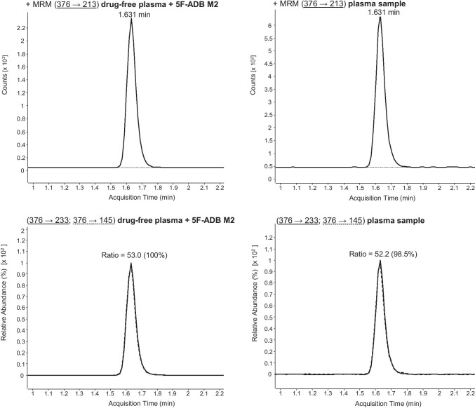 Confirmation of 5F-ADB N-(5-OH-pentyl) (“metabolite M2”, abbreviated with M2 here) via LC-ESI-MS/MS analysis (using the standard LC gradient) of plasma sample. MRM transitions and ratios of 5F-ADB M2 of a drug-free plasma sample, spiked with 5F-ADB M2, and the plasma sample. For explanation: the respective sample can be found in the columns, the upper row shows the first MRM transition and the lower row the second MRM transition as well as the ion ratios