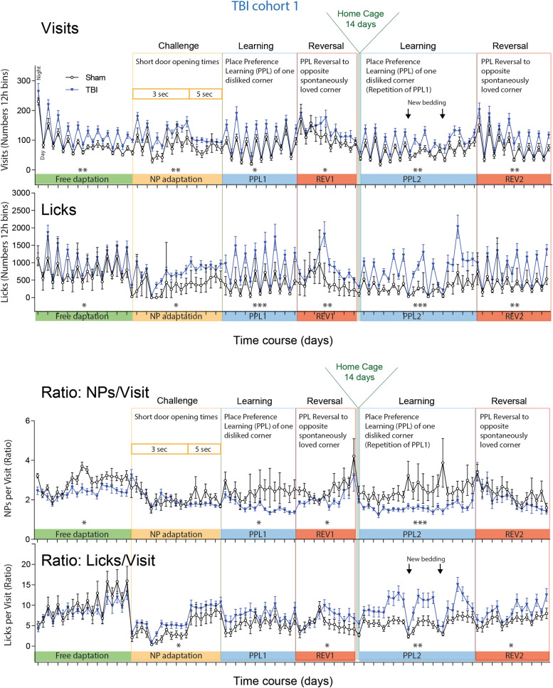 General activity of TBI versus sham mice in IntelliCages. Time courses of corner Visits and Lickings and ratios of Nosepokes (NP)/Visits and Licks/Visits in 12 h bins in TBI/sham cohort-1. The data show the mean ± SEM of n = 10 sham and n = 21 TBI mice. The peaks represent the nighttime activity. The tasks are explained in detail in Table 1 and abbreviation of parameters in Table 2. Tasks in which the time courses differed significantly between groups (2-way ANOVA for factor "group") are indicated per asterisks above the X-axis. *P < 0.05, **P < 0.01, ***P < 0.001. Data were analyzed in IntelliCage Plus software 2019 (XBehavior; https://www.xbehavior.com), exported as tab-separated txt files, imported in Microsoft Excel 2016, and Graphs were created with Graphpad Prism 8.4 (https://www.graphpad.com) and exported as emf. Graphs were arranged and labeled in Adobe Illustrator CC2020 (https://www.adobe.com/de), and exported to TIFF format.