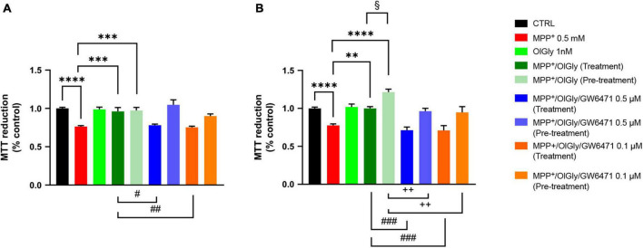 Cell viability in (A) not differentiated and (B) differentiated SH-SY5Y cells measured with the MTT assay. Histograms represent the percentage, with respect to control cells (CTRL, 100%), of viable cells after the exposure to MPP+ (0.5 mM), OlGly (1 nM), and GW 6471 (0.5 and 0.1 μM) in both simultaneous treatment and pre-treatment experiments. Data are represented as mean ± SEM. *Indicates values statistically significant vs. MPP+; # indicates values statistically significant vs. MPP+/OlGly (simultaneous treatment); + indicates values statistically significant vs. MPP+/OlGly (pre-treatment); § indicates values statistically significant of MPP+/OlGly (simultaneous treatment) vs. MPP+/OlGly (pre-treatment). Student’s t-test was used for statistical analysis (N = 6–12). ****Indicates values statistically significant with p < 0.0001; *** and ### indicates values statistically significant with p < 0.001; **, ##, and + + indicates values statistically significant with p < 0.01; *, #, +, and § indicates values statistically significant with p < 0.05.