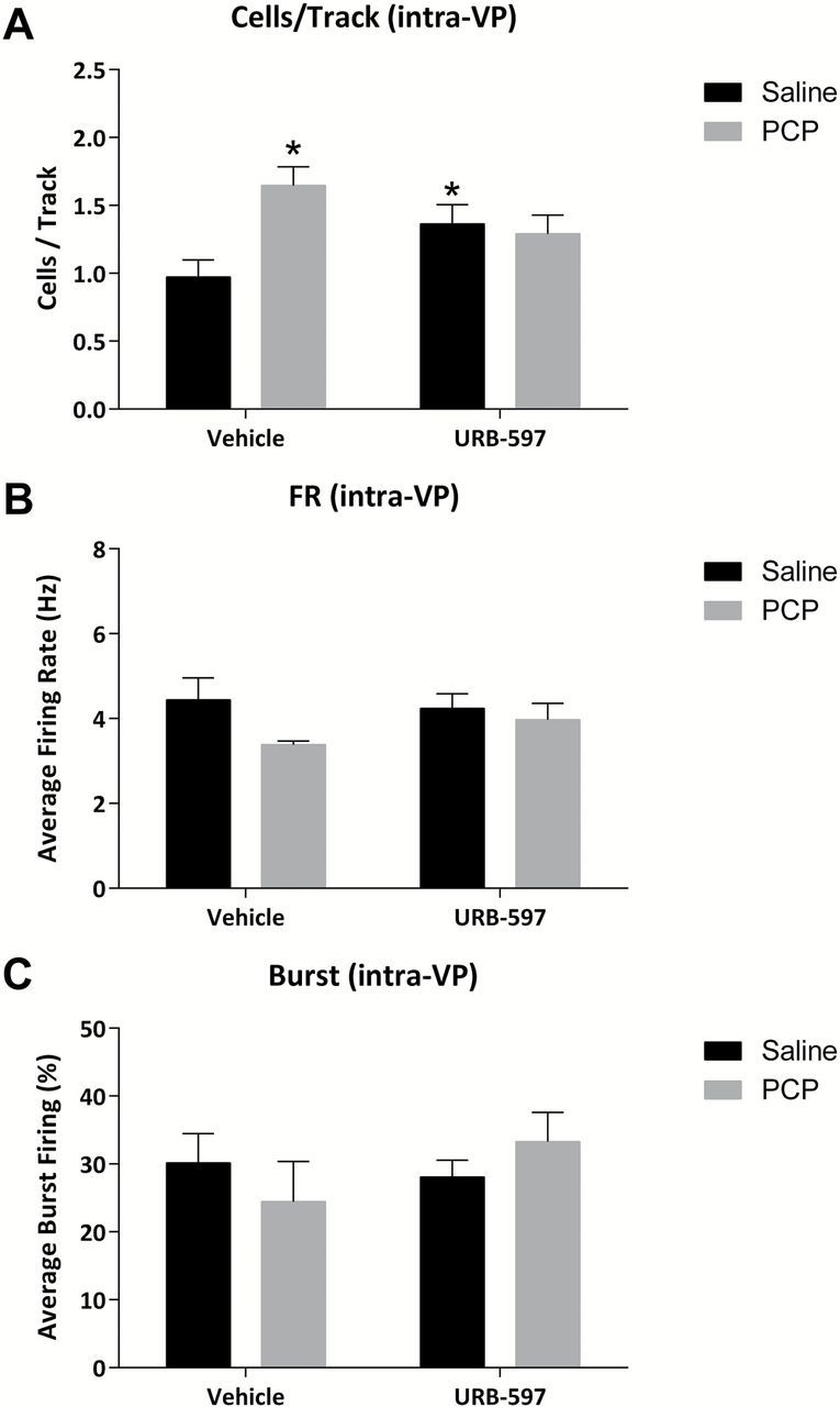 Intra-VP URB-597 reverses aberrant dopamine neuron activity in the PCP-treated rat. (A) The increase in dopamine neuron population activity observed in PCP-treated rats is not present following the direct administration of URB-597 into the VP (A). Consistent with the acute systemic administration of URB-597 detailed above, no effects were observed in either the average firing rate (B) or average percent burst firing (C). *significant difference from vehicle-treated saline rats (two-way ANOVA).