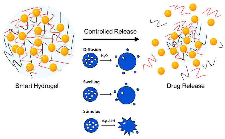 Schematic illustration of drug release mechanism in smart hydrogel.