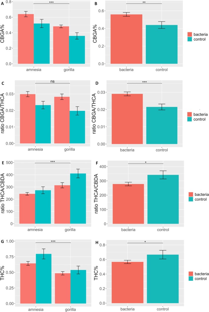 Bar plot of (A and B) CBGA%, (C and D) CBGA/THCA ratio, (E and F) THCA/CBDA ratio and (G and H) Δ9‐THC% of the flower dry weight of an HPLC analysis of flowers of Cannabis sativa L. cultivars Amnesia and Gorilla treated with the bacterial inoculum and compared to a control mock inoculation. Bars represent means ± standard errors. A logarithmic transformation was performed for CBGA%, CBGA/THCA, while a square root transformation was performed for the THCA/CBDA ratio, as indicated by a Box‐Cox test. Analysis was performed on 79 individuals for THCA/CBDA on 78 individuals. For results of the two‐way ANOVA, see Table 1. Different symbols above bars indicate significant differences at *p < 0.05, **p < 0.01, ***p < 0.001 and “ns” p > 0.05. Panels B, D, F and H display the CBGA, THC concentrations and the CBGA/THCA, THCA/CBDA ratios for the inoculation.