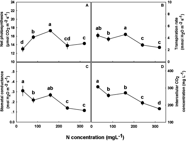 Effect of N concentration on gas exchange in cannabis leaves. Net photosynthesis rate (A), transpiration rate (B), stomatal conductance (C), and intercellular CO2 concentration (D). Presented data are averages ± SE (n = 5). Different small letters above the means represent significant differences between treatments by Tukey HSD test at α = 0.05.