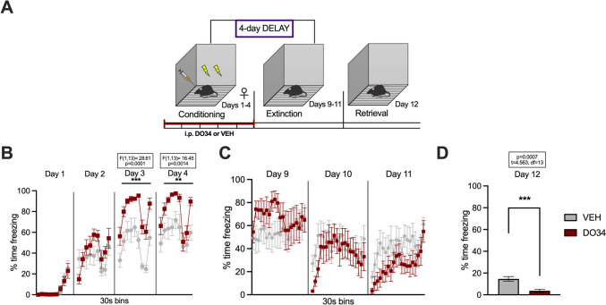 Pharmacological inhibition of DAGL during conditioning followed by a 4-day delay restores subsequent extinction learning in female mice. (A) Schematic diagram of the experimental paradigm. (B) Percentage of time spent freezing during the acquisition of contextual fear when DO34 (50 mg/kg) was injected IP 2 h before each session. (C) Percentage of time spent freezing during extinction of contextual fear in the absence of drug treatment. (D) Percentage of time spent freezing during retrieval session. All values are presented as mean ± SEM (n=7–8 female mice per condition)