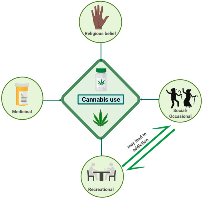 Cannabis use and different beliefs. This figure was created with BioRender.com.