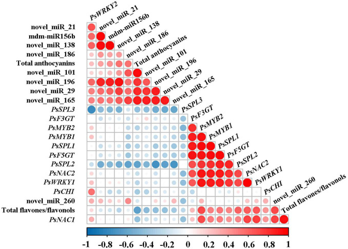 Correlation analysis between the expression of miRNAs and corresponding target genes and the accumulation of total anthocyanins and total flavones/flavonols. Pearson’s correlation coefficients for the data were analyzed using R scripts.