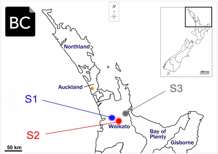 Three sites of Radula marginata collections used in this study (S1, S2, S3), all on Te Ika‐a‐Māui/North Island of Aotearoa/New Zealand. The yellow star indicates the origin of the first R. marginata sample reported for perrottetinene (PET) occurrence (Toyota et al., 2002). These samples and derived data have a Biocultural (BC) Notice attached (Supporting Information Notes S1).