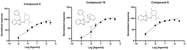 Concentration–response curve of compounds 5, 6, and 16 for concentration-dependent inhibition of forskolin-stimulated cAMP accumulation in recombinant CHO cells expressing hCB2 receptors. Data for compounds 19 and 22 could not be determined. WIN55212−2 was assessed in parallel for all assays; data presented as normalized response to 100 nM WIN55212−2 maximum response.