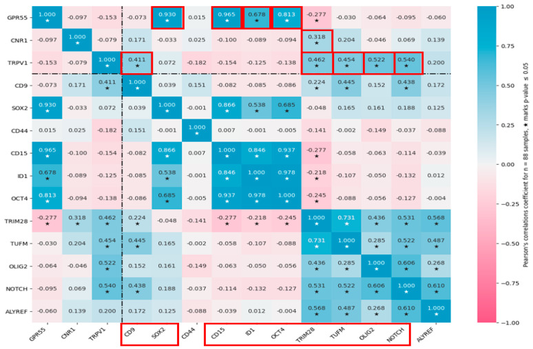 Correlations between the expressions of cannabinoid receptors and GSC markers in glioblastoma. Stemness genes are framed in red below. Correlations with cannabinoid receptors are framed in red above. GPR55 significantly correlated with the GSC markers SOX2, CD15, ID1, and OCT4. TRPV1 significantly correlated with NOTCH; OLIG2; and the putative markers CD9, TRIM28, and TUFM (the latter three of which are potential candidates to be classified as established stem cell markers [32,33,34]). CNR1 only correlated (poorly) with TRIM28. * p < 0.05.