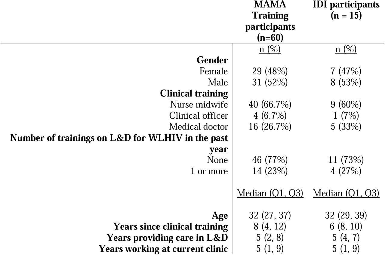 Description of the sample of L&D providers participating in the MAMA intervention