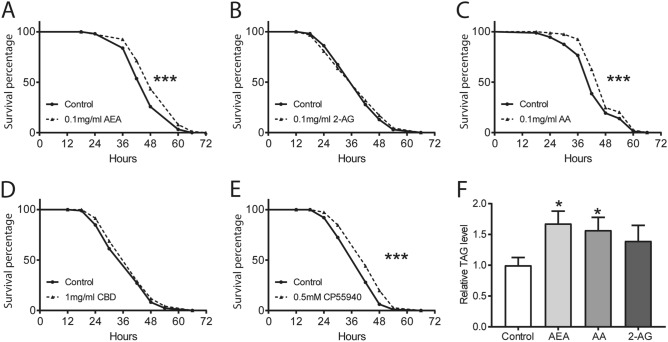 AEA and AA protects flies from starvation stress and inhibits lipid metabolism. (A–E) Following two days of cannabinoid treatment, the percentage of the surviving flies was quantified to assess the resistance to starvation. Pre-treatment with 0.1 mg/ml AEA (A), 0.1 mg/ml AA (C), and 0.5 mM CP55940 (E) significantly enhanced the starvation resistance, while no effect was detected with 0.1 mg/ml 2-AG (B) and 1 mg/ml CBD (D) (n = 9–14 vials/group). (F) Quantification of the triacylglycerol (TAG) levels in the flies revealed a significant increase with 0.1 mg/ml AEA or 0.1 mg/ml AA pre-treatment following 18 h starvation as compared to the control group (n = 7–10 vials/group). Both one-sample t test and Log-rank (Mantel-Cox) test were used to determine the significant differences. *p < 0.05 and ***p < 0.001.
