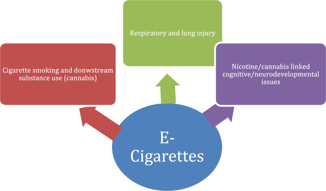 The health risks associated with vaping37,46–48,51,52,55.The following figure illustrates the relationship between e-cigarette exposure and potential health effects in teenagers, which primarily affect the respiratory system, neurodevelopment/cognition, and may increase the risk of dual smoking and addiction to other drugs.