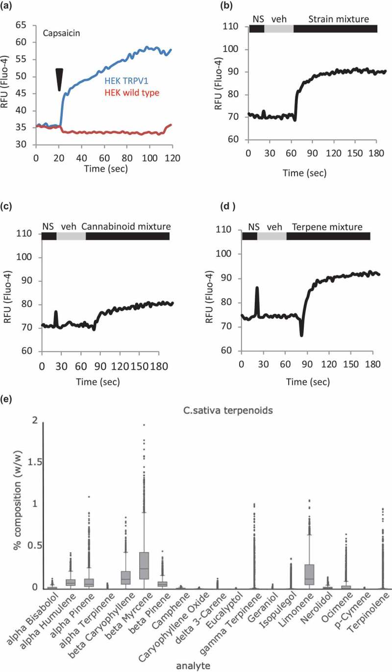 Strain-inspired and cannabinoid or terpene mixtures initiate calcium responses in a TRPV1 over-expression system. a. HEK-TRPV1 differentiate TRPV1-dependent calcium responses. HEK WT and HEK-TRPV1 were loaded with Fluo-4 and population-based calcium assays were conducted in the presence of 1mM external calcium. After a non-stimulated (NS) period to establish a baseline, cells were stimulated at 20 s with 100 nM capsaicin. b, c, d. HEK-TRPV1 were exposed to a matched vehicle mixture (veh) or the indicated mixtures of cannabinoids plus terpenes, cannabinoids, or terpenes, as indicated. Fluo-4 calcium assays were performed as described. e. Distribution of content values of terpenoids in 2,662 Cannabis samples representing 396 “strains” in three major chemovars [41,42]. The box plots display the range and distribution of each analyte in terms of %w/w. The line bisecting each box represents the median for that distribution. The lower and upper lines show the minimum and maximum values of the lower and upper quartiles, respectfully. The points show the outliers for the sampled ranges. The y-axis values represent % (w/w) of dried flower for each of the indicated cannabinoid species.