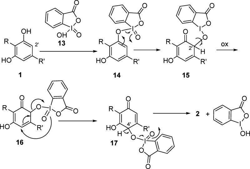 Possible mechanism for the SIBX-mediated formation of cannabidiolquinone (CBDQ (2)) from cannabidiol (CBD (1)) (R = 3-p-mentha-1,8-dienyl, R′ = n-pentyl).