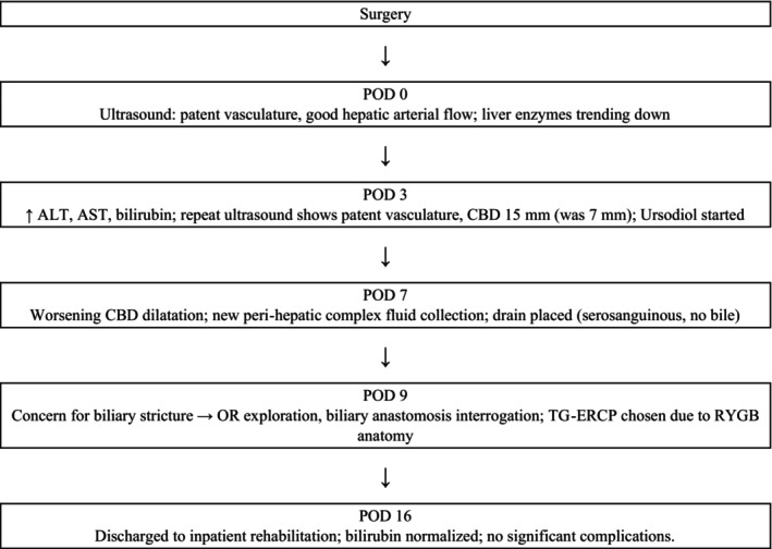 Timeline of clinical events.