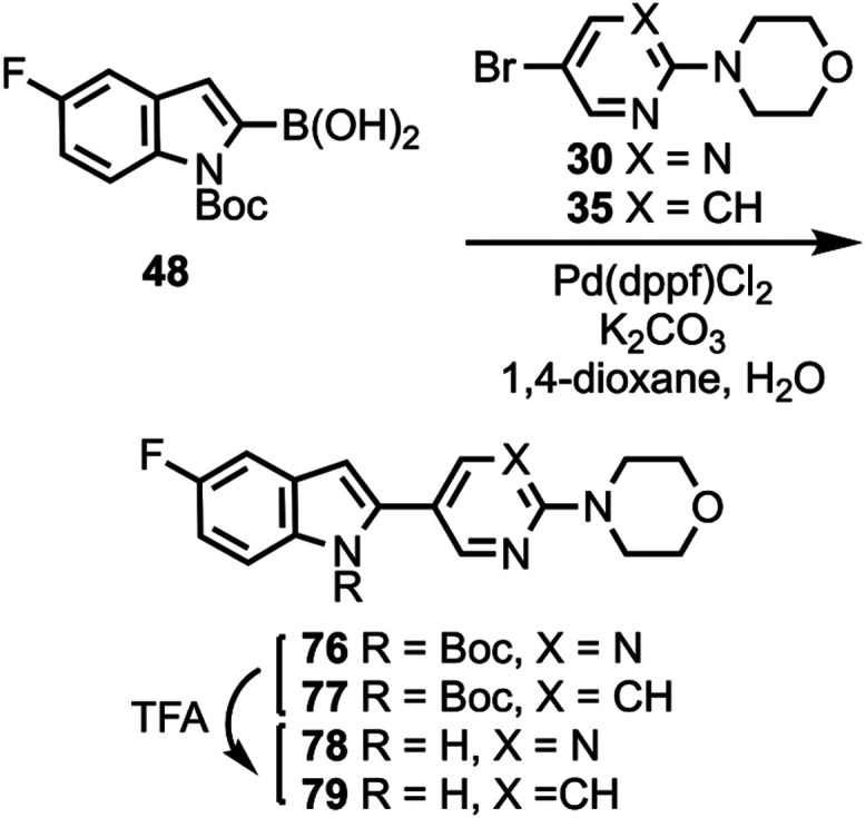 Synthesis of Compounds 78 and 79