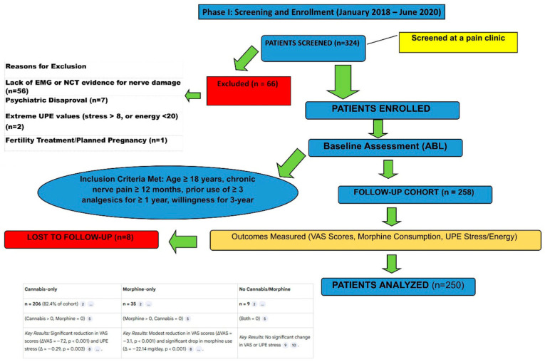 CONSORT flow diagram of study participants. Phase I screening and enrollment (January 2018–June 2020) showing participant flow through the study. Of 324 patients screened, 66 were excluded (56 lacking EMG/NCT evidence for nerve damage, 7 psychiatric disapproval, 2 extreme UPE values, and 1 fertility treatment). Of 258 enrolled patients, 8 were lost to follow-up due to protocol-mandated dose adjustments, yielding 250 patients in the preliminary analysis and 200 in the final evaluable cohort. The final cohort showed significant reduction in pain scores (median NRS 8.0 to 3.0, p < 0.001) with 91.5% achieving clinical response (≥2-point NRS reduction).