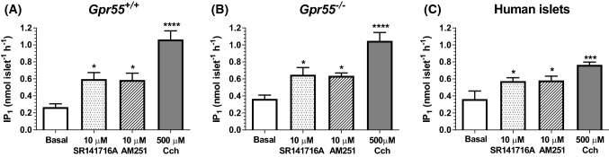 Effects of SR141716A and AM251 on Gq signalling in mouse and human islets. A–c 10 μM SR141716A and AM251 significantly elevated IP1 levels in islets from Gpr55+/+ (a) and Gpr55−/− mice (b) and human donors (c). 500 μM Carbachol (Cch) was used as positive control. Data are expressed as mean ± SEM of three separate experiments, each of 4–6 replicates. *P < 0.05, basal vs. treatment; ***P < 0.001, ****P < 0.0001, basal vs. Cch
