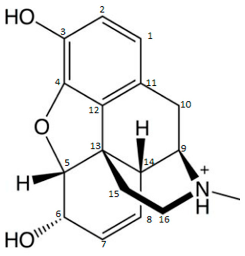 Molecular structure of morphine [36].