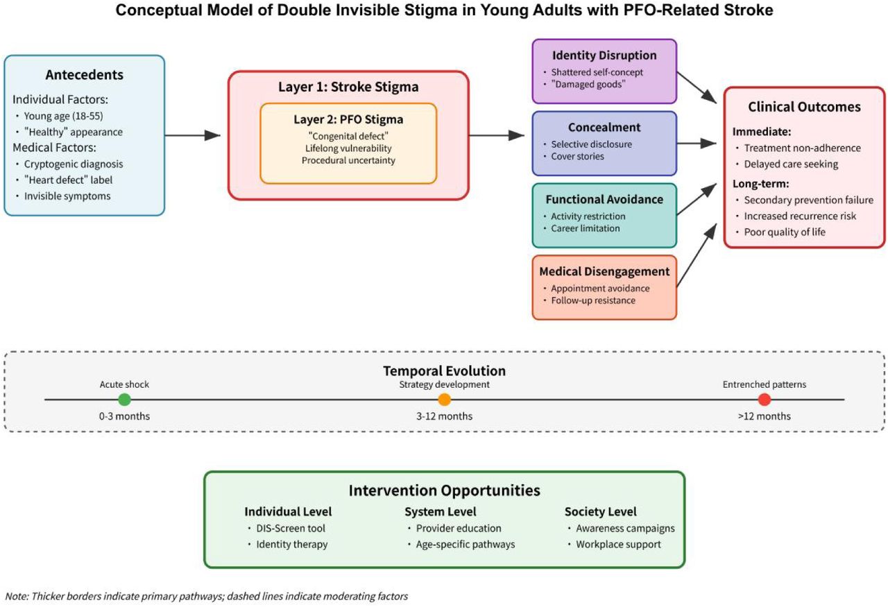 Conceptual Model of Double Invisible Stigma in Young Adults with PFO-R elated StrokeThis conceptual model illustrates the dual-layered stigma experienced by young adults (18-59 years) with PFO-related stroke. The model demonstrates how antecedents (young age, "healthy" appearance, cryptogenic diagnosis, "heart defect" label, and invisible symptoms) lead to two overlapping stigma layers: stroke stigma and PFO stigma ("congenital defect," lifelong vulnerability, procedural uncertainty). These stigmas manifest through four key mechanisms: identity disruption (shattered self-concept, "damaged go ods"), concealment (selective disclosure, cover stories), functional avoidance (activity restriction, career limitation), and medical disengagement (appointment avoidance, follow-up resistance). The temporal evolution progresses from acute shock (0-3 months) through strategy development (3-12 months) to entrenched patterns (>12 months). Clinic al outcomes include immediate effects (treatment non-adherence, delayed care seeking) and long-term consequences (secondary prevention failure, increased recurrence risk, poor quality of life). The model identifies multi-level intervention opportunities at individual (DIS-Screen tool, identity therapy), system (provider education, age-specific pathways), and society levels (awareness campaigns, workplace support). PFO = patent foramenovale; DIS = Double Invisible Stigma.