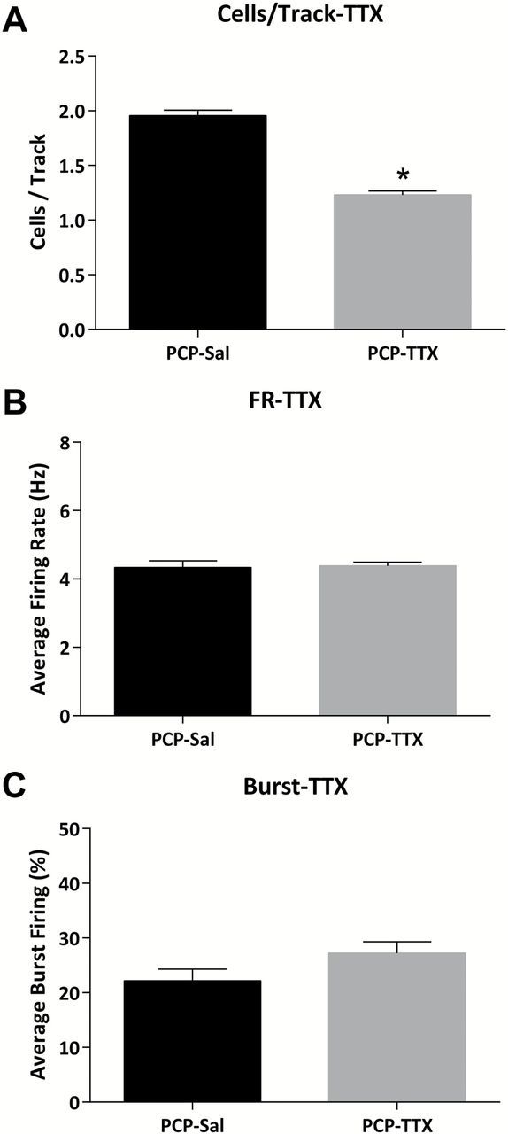 TTX inactivation of the vHipp reverses aberrant dopamine neuron activity in the PCP rat. Intra-vHipp TTX administration decreases dopamine neuron population activity (A) without affecting average firing rate (B) or burst firing (C) in PCP-treated rats. *Significant difference between groups (student’s t-test)
