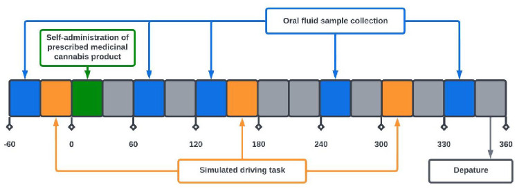 Testing day study procedure.