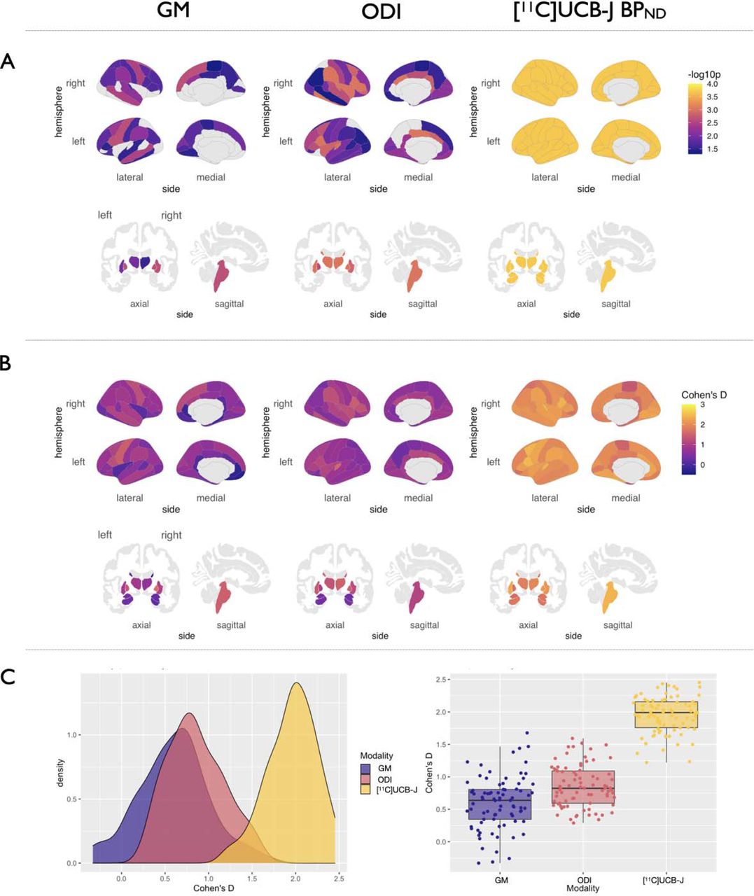 GM atrophy, reduced ODI and [11C]UCB-J BPND in PSP-RS vs Controls.A: P-values of regions surviving FDR correction are visualised on cortical and subcortical brain templates. B: Density plots of distributions of effect sizes. C: Boxplots of effect sizes of grey matter atrophy, ODI and [11C]UCB-J BPND from the group comparisons. Abbreviations: ODI = Orientation Dispersion Index; PSP-RS = Progressive Supranuclear Palsy-Richardson’s Syndrome; FDR = False Discovery Rate; GM = grey matter.