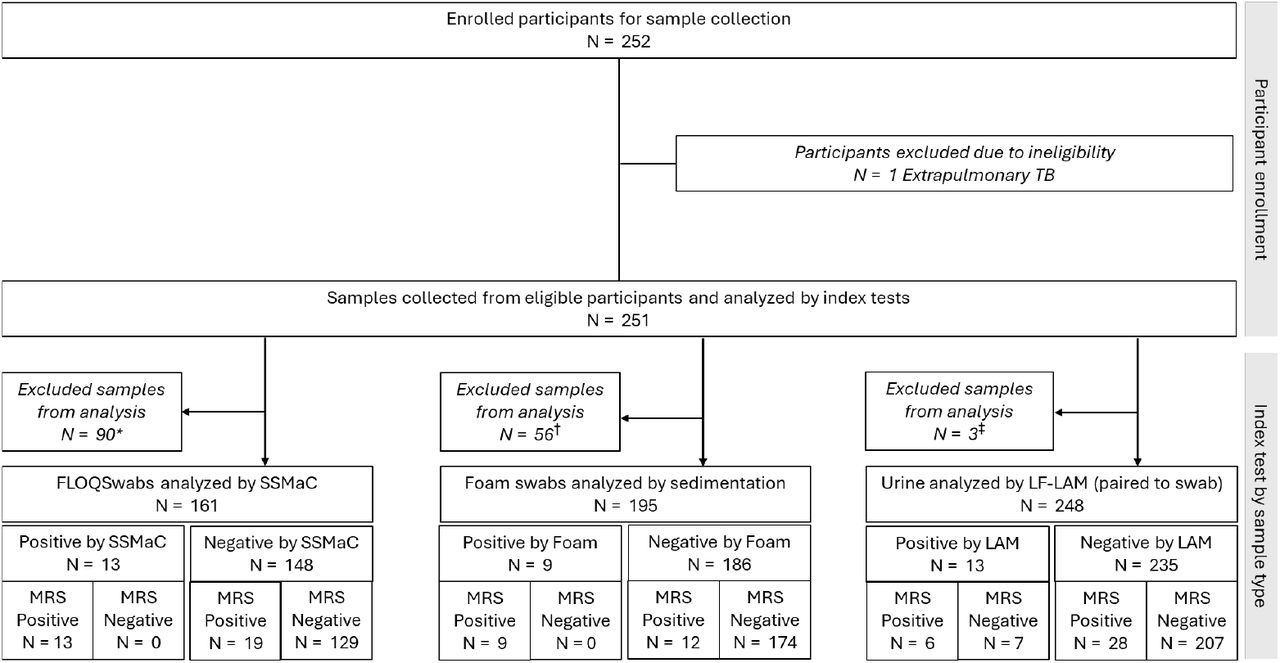 STARD diagram showing the flow of participant inclusion, sample testing, and results.Exclusions were for the following reasons: *Swabs not selected through subset matching algorithm; †Non-protocol, incompatible swab type or storage used in sample collection; ‡data unavailable for analyses.