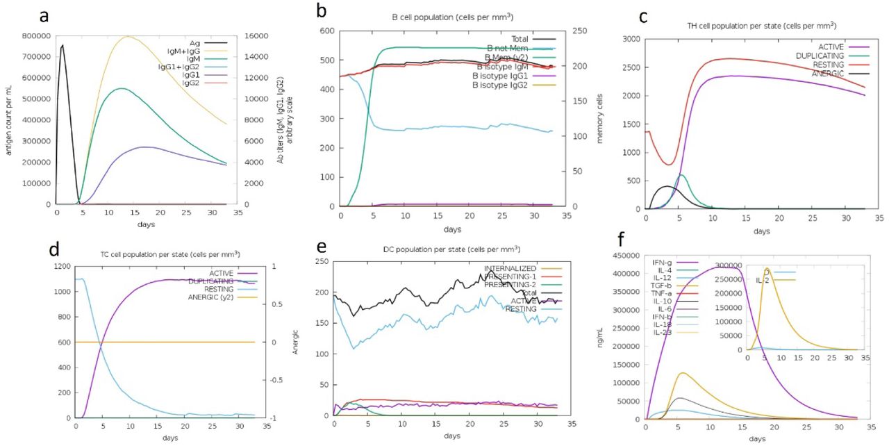 Vaccine immune simulation through the C-ImmSim server