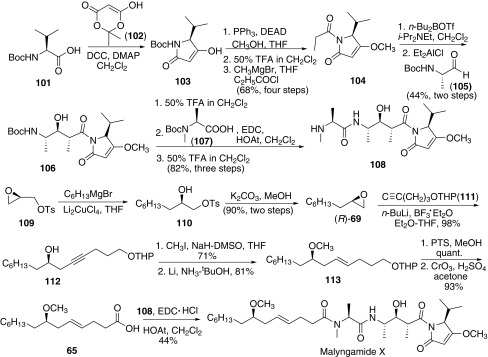 Synthesis of malyngamide X reported by Isobe [60]