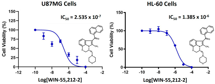 Pharmacological toxicity half maximal inhibitory concentration (IC50) for U87MG and HL-60 cell lines. The values correspond to 0.25 μM and 1.39 μM, respectively.