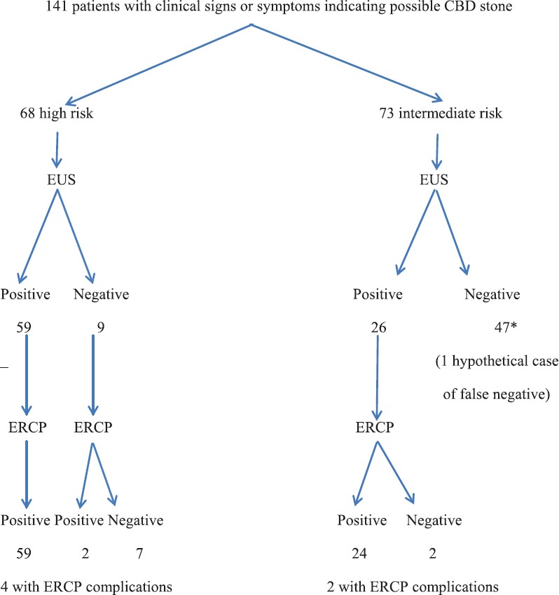 The flow diagram of the study. *No ERCP was performed, but one hypothetical case of false negative by EUS was calculated in this group (see text)