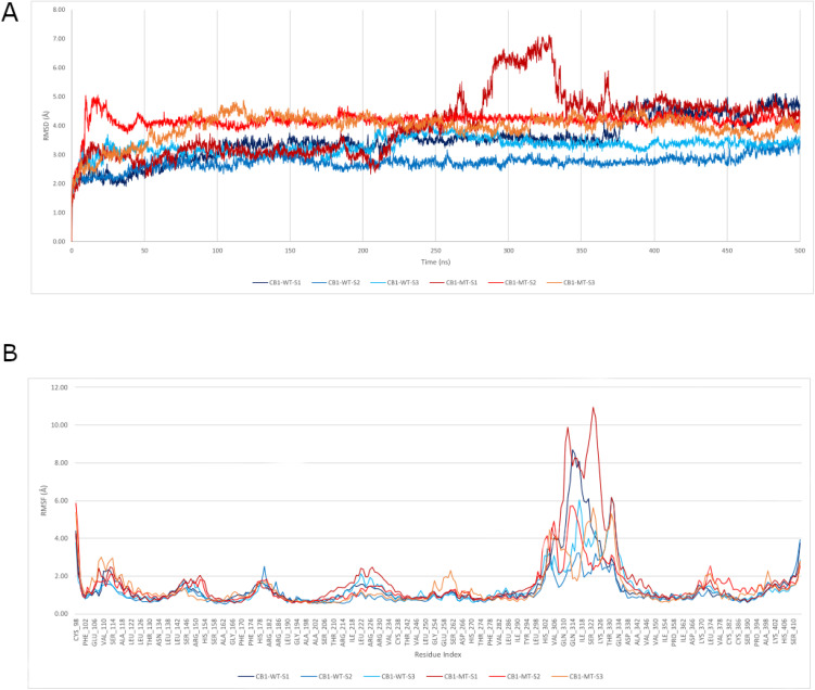 Plots of structural fluctuations of CB1-WT and CB1-MT over the 500 ns MD simulation trajectories.(A) RMSD and (B) RMSF. The blue shades correspond to the WT replicas, while the red ones correspond to the MT replicas. Values are in Angstroms (Å).