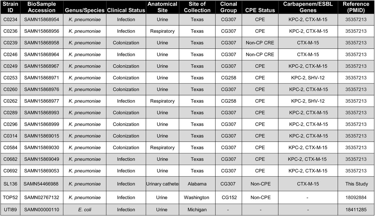 Strains used in this study.CPE – Carbapenemase-producing Enterobacteriaecae.