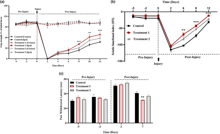 Effect of treatment on motor and sensory function recovery. Muscle grip strength (p < .001), SFI (p = 0.012), and paw withdrawal latency (p = .001) indicated a significant improvement after the treatment in treatment 1 group as compared to treatment 2 and control groups.