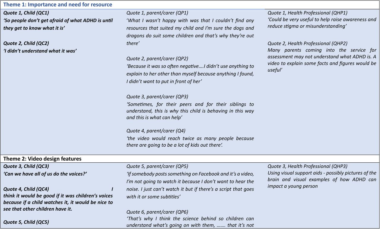 Quotes supporting themes and subthemes