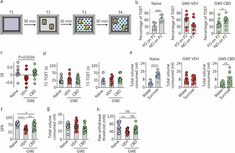 CBD treatment enhanced pattern separation function and reduced anhedonia and hyperalgesia in rats with chronic GWI. a The cartoon illustrates the sequence of trials in PST. b The bar charts compare percentages of the object exploration times spent with the FO on P2 and the NO on P2 in different groups (naïve, n = 10; GWI-VEH, n = 12; GWI-CBD, n = 16). c The bar chart compares the NO on P2 DI values across groups. d The bar charts compare the TOETs across groups in T2 and T3. e The bar charts illustrate the volumes of water and sucrose consumed by animals in naïve control, GWI-VEH, and GWI-CBD groups in the sucrose preference test. The bar charts show the SPR (f) and total volume consumed (g). h The bar graph compares the paw withdrawal threshold values across groups from a hyperalgesia test. *P < 0.05, **P < 0.01, ***P < 0.001, ****P < 0.0001, ns non-significant. Please refer to Tables S3 and S4 in Additional file 1 for detailed statistical information. CBD cannabidiol, GWI Gulf War Illness, PST pattern separation test, FO on P2 familiar object on pattern 2, NO on P2 novel object on pattern 2, VEH vehicle, TOET total object exploration time, T Trial, SPR sucrose preference rate, mN millinewtons, DI discrimination index