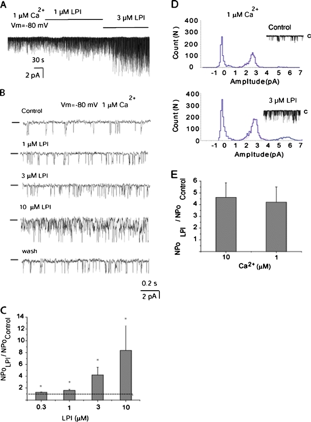 The LPI effect develops slowly, is sustained, reversible, and occurs in a concentration-dependent manner. a Representative single-channel recording in inside-out patch exposed to 1 and 3 μM LPI in the presence of 1 μM Ca2+ in the bath at a holding potential of −80 mV. Channel openings are shown as downward deflections. b Representative single-channel recording in inside-out patch exposed to 1 μM Ca2+ showing concentration-dependent activation of IKCa channel activity in response to bath application of 1, 3, and 10 μM LPI, which was reversible following 15 min of wash out of LPI. Channel openings are shown as downward deflections and bars from the left indicate the zero current level. c Statistical representation of the effect of 0.3 (n = 4), 1 (n = 5), 3 (n = 14), and 10 μM (n = 3) LPI on IKCa channel activity in the presence of 1 μM Ca2+ at a holding potential of −80 mV. *P < 0.05 vs basal NPo in the absence of LPI. d A representative amplitude histogram before (Control) and after exposure of excised patch to 3 μM LPI in the presence of 1 μM Ca2+. Data points were fitted by Gaussian fits. e Statistical representation of the effect of 3 μM LPI on IKCa channel activity in the presence of 10 μM (n = 4) and 1 μM Ca2+ (n = 14) at a holding potential of −80 mV