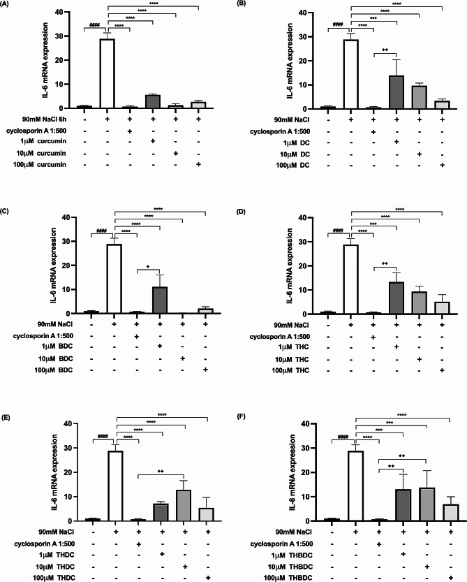 Effect of curcuminoids and curcuminoid analogs on IL-6 mRNA expressions in hyperosmotic-induced human corneal limbal epithelial cells. After 90mM NaCl exposure for 6 h, IL-6 mRNA expression levels were inhibited by (A) curcumin, (B) demethoxycurcumin (DC), (C) bisdemethoxycurcumin (BDC), (D) tetrahydrocurcumin (THC), (E) tetrahydrodemethoxycurcumin (THDC), and (F) tetrahydrobisdemethoxycurcumin (THBDC). mRNA expression levels were assessed using quantitative RT-PCR. ####P < 0.0001 compared to control. ***P < 0.001, ****P < 0.0001 compared to NaCl alone. ♦P < 0.05, ♦♦P < 0.01 compared to NaCl + cyclosporin A