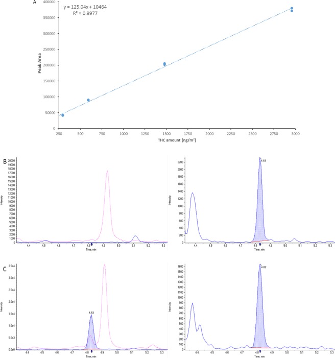 (A) representative calibration curve. The assay was linear from 295 ng/m2 to 2959 ng/m2. (B) shows a representative ion chromatogram of a negative sample and (C) a representative ion chromatogram of a positive sample (2024 ng/m2). Right chromatogram THC, blue dotted area represents the quantifier transition and the red dotted line represents the qualifier ion transition. The left ion chromatogram shows the internal standard THC-d3.