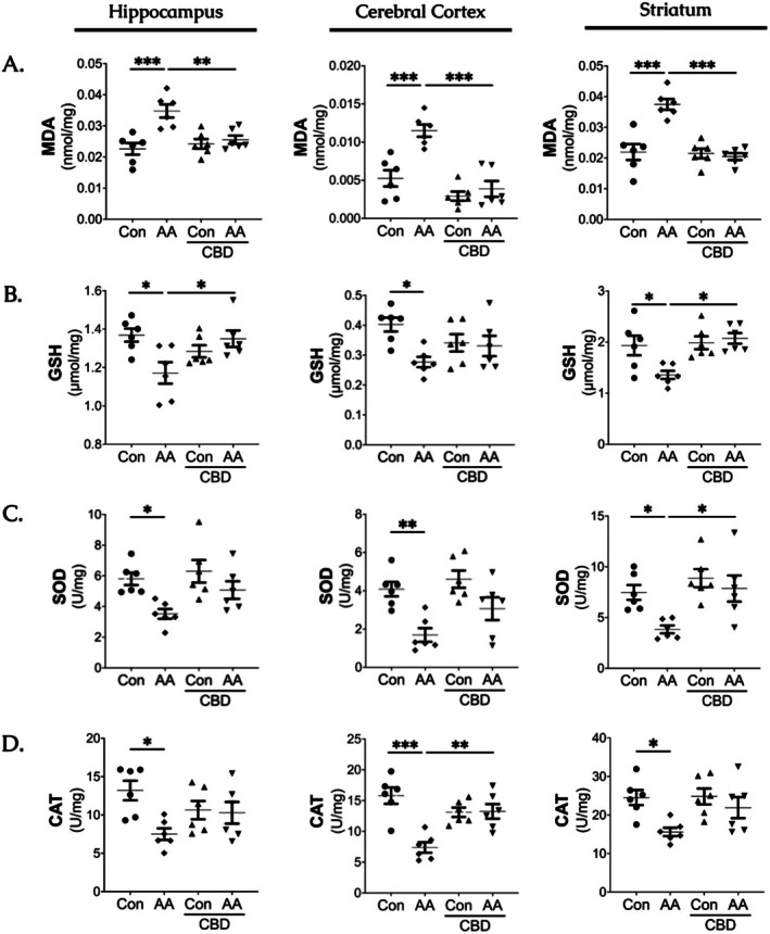 Protective effect of cannabidiol on oxidative stress parameters against acrylamide‐induced toxicity in the hippocampus, cerebral cortex and striatum. (A) Levels of Malondialdehyde (MDA), (B) Reduced Glutathione (GSH), (C) Superoxide Dismutase (SOD) and (D) Catalase activity (CAT). Each scatter plot represents the data points for AA, CBD, co‐administration, and Con groups (n = 6/group). AA, Acrylamide; CBD, Cannabidiol. All data are expressed as group mean ± SEM (*p < 0.05. **p < 0.01. *** < 0.001).