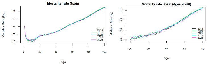 Logarithmic mortality rates of Spain. (Left panel): All ages. (Right panel): Ages 20 to 60. Source: Elaborated by the authors using their own calculations and data from INE.