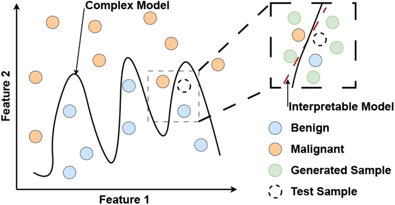Complex model f decision boundaries are black curved lines. LIME explains a new test sample (dashed circle) by fitting an interpretable model g (red dashed line) to its variations (green circles), which are random samples. The fitted model shows how each attribute classifies that test sample. Adapted from [21]. This image is licensed under CC BY 4.0.