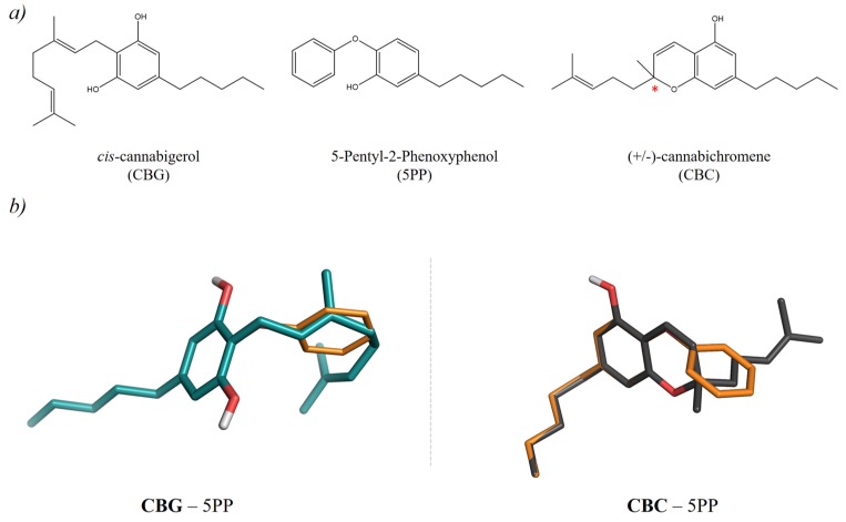 Chemical structures and ligand-based alignments of CBG and CBC predicted with ROCS [25]. Specifically, (a) reports the structures of CBG, 5PP and CBC. The chiral center in CBC is highlighted with a red star. (b) reports the shape-based alignment obtained for CBG (dark teal sticks) and the S stereoisomer of CBC (dark grey sticks) with the 5PP (orange thinner sticks) compound.
