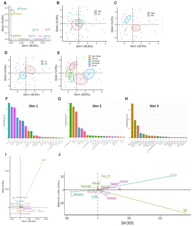 Multiple factor analysis (MFA) highlights the importance of the gut-liver axis in ω-3 effects. (A) Loading plot represent the influence of the top 11 variables with the highest contribution. (B–E) Ellipses show the effect of (B) genetic (fat1 vs WT), (C) dietary lipid content (low vs high), (D) ω-3 PUFA intake, and (E) combined conditions on mice. P-values reported on the bottom right of each MFA were obtained by permutational multivariate analysis of variance (PERMANOVA). Barplots representing the contribution of the top 20 variables to the MFA plot axis for (F) dimension 1 and (G) dimension 2. (H) Loading plot represents the influence of all the variable groups on the MFA plot on dimensions 1 and 2.