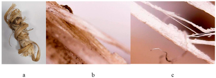 Crushed hemp stalk used as a target in the PLD process (a) and images with an optical microscope of the irradiated crushed hemp stalk (b,c).