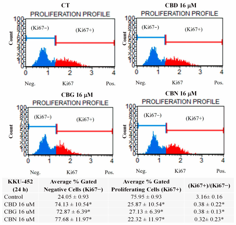 Effect of CBD, CBG, and CBN on Ki67 expression in KKU-452 cells. KKU-452 cells were treated with 16 µM of CBD, CBG, or CBN for 24 h. Representative histogram plots show two cell populations: Ki67-negative (blue) and Ki67-positive (red), as determined using the Muse Ki67 assay. The accompanying table presents the mean percentages of gated Ki67-negative and Ki67-positive cells and the Ki67+/Ki67− ratio. Data are expressed as mean ± SD from three independent experiments. * p < 0.05 vs. control (Ct), CBD, cannabidiol; CBG, cannabigerol; CBN, cannabinol.