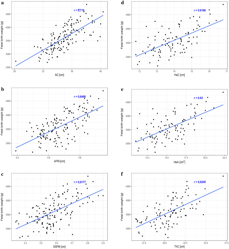 Correlations between the fetal birth-weight and selected maternal–fetal parameters (a–h). AC abdominal circumference, AFM abdominal fat mass, SSFM sub-scapular fat mass, HeC heart circumference, HeA heart area, ThC thorax circumference, ThA thorax area, LL liver length. All results expressed as Pearson's correlation coefficient (r), p < .001